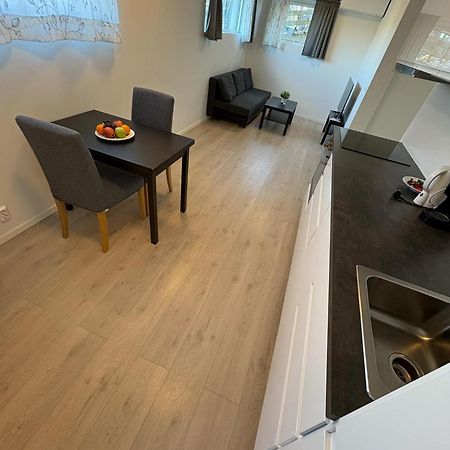 Temis Apartment, Private New 1 Bed Room And 1 Living Room With Sofa Bad And Lagre Kitchen, Share With Nobody Oslo Esterno foto