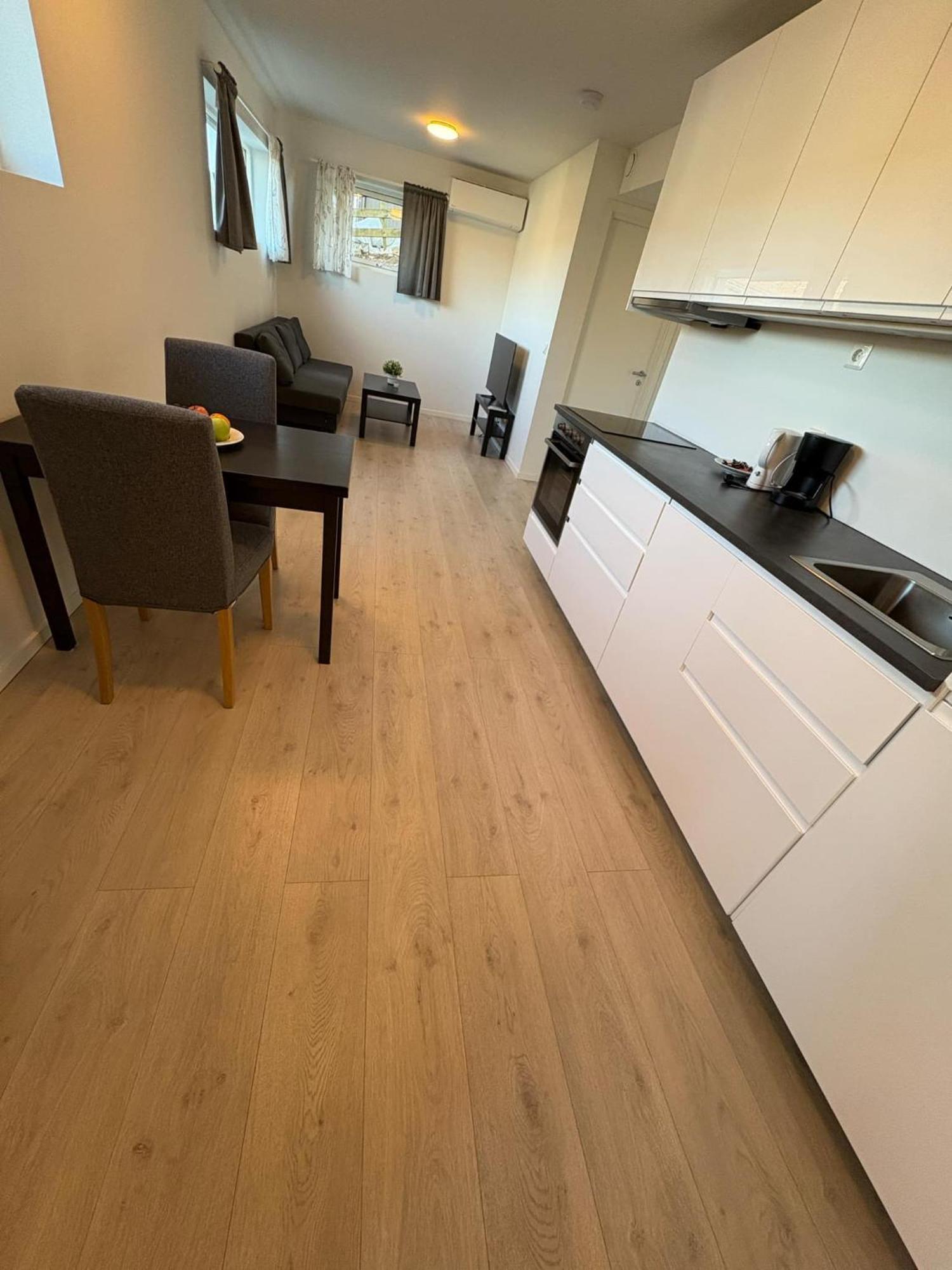 Temis Apartment, Private New 1 Bed Room And 1 Living Room With Sofa Bad And Lagre Kitchen, Share With Nobody Oslo Esterno foto